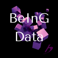 BeInG Data Logo